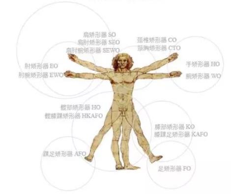 矯形器的基本功能  